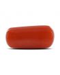 Red Coral (Moonga) - 5.3 Carat 