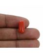 Red Coral (Moonga) - 5.3 Carat 