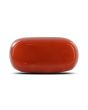 Red Coral (Moonga) - 5.62 Carat 