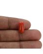 Red Coral (Moonga) - 5.62 Carat 