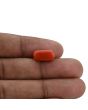 Red Coral (Moonga) - 5.62 Carat 