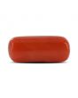 Red Coral (Moonga) - 5.7 Carat 