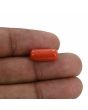 Red Coral (Moonga) - 5.7 Carat 