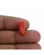 Red Coral (Moonga) - 5.7 Carat 