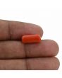 Red Coral (Moonga) - 5.7 Carat 