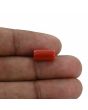 Red Coral (Moonga) - 4.85 Carat 