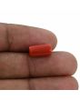 Red Coral (Moonga) - 4.85 Carat 