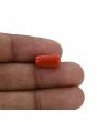 Red Coral (Moonga) - 5.33 Carat 