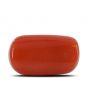 Red Coral (Moonga) - 4.57 Carat 