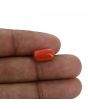 Red Coral (Moonga) - 4.57 Carat 
