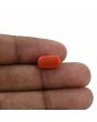 Red Coral (Moonga) - 4.57 Carat 