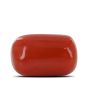 Red Coral (Moonga) - 4.94 Carat 