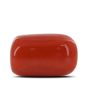 Red Coral (Moonga) - 4.94 Carat 