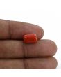 Red Coral (Moonga) - 4.94 Carat 