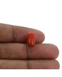 Red Coral (Moonga) - 4.94 Carat 