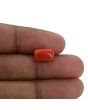 Red Coral (Moonga) - 4.94 Carat 