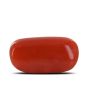 Red Coral (Moonga) - 5.16 Carat 