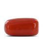 Red Coral (Moonga) - 5.16 Carat 