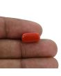 Red Coral (Moonga) - 5.16 Carat 