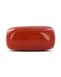 Red Coral (Moonga) - 5.18 Carat 
