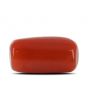 Red Coral (Moonga) - 5.18 Carat 