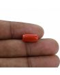 Red Coral (Moonga) - 5.18 Carat 