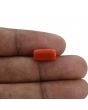 Red Coral (Moonga) - 5.18 Carat 
