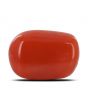 Red Coral (Moonga) - 5.22 Carat 