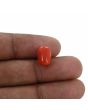 Red Coral (Moonga) - 5.22 Carat 