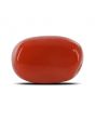 Red Coral (Moonga) - 4.32 Carat 