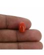 Red Coral (Moonga) - 4.32 Carat 