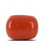Red Coral (Moonga) - 4.24 Carat 