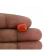 Red Coral (Moonga) - 4.24 Carat 