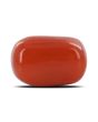 Red Coral (Moonga) - 3.02 Carat 