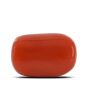 Red Coral (Moonga) - 3.02 Carat 
