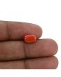 Red Coral (Moonga) - 3.02 Carat 