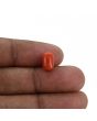 Red Coral (Moonga) - 3.02 Carat 