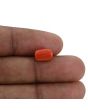 Red Coral (Moonga) - 3.02 Carat 