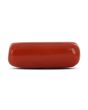 Red Coral (Moonga) - 7.66 Carat 