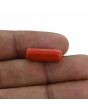 Red Coral (Moonga) - 7.66 Carat 