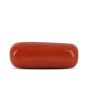 Red Coral (Moonga) - 7.19 Carat 