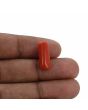 Red Coral (Moonga) - 6.55 Carat 