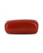 Red Coral (Moonga) - 6.88 Carat 