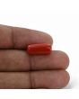 Red Coral (Moonga) - 6.88 Carat 