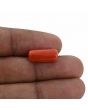 Red Coral (Moonga) - 6.91 Carat 