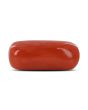 Red Coral (Moonga) - 6.92 Carat 
