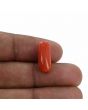 Red Coral (Moonga) - 6.92 Carat 
