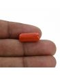 Red Coral (Moonga) - 6.92 Carat 