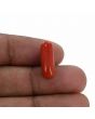 Red Coral (Moonga) - 6.45 Carat 