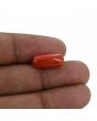 Red Coral (Moonga) - 7.44 Carat 